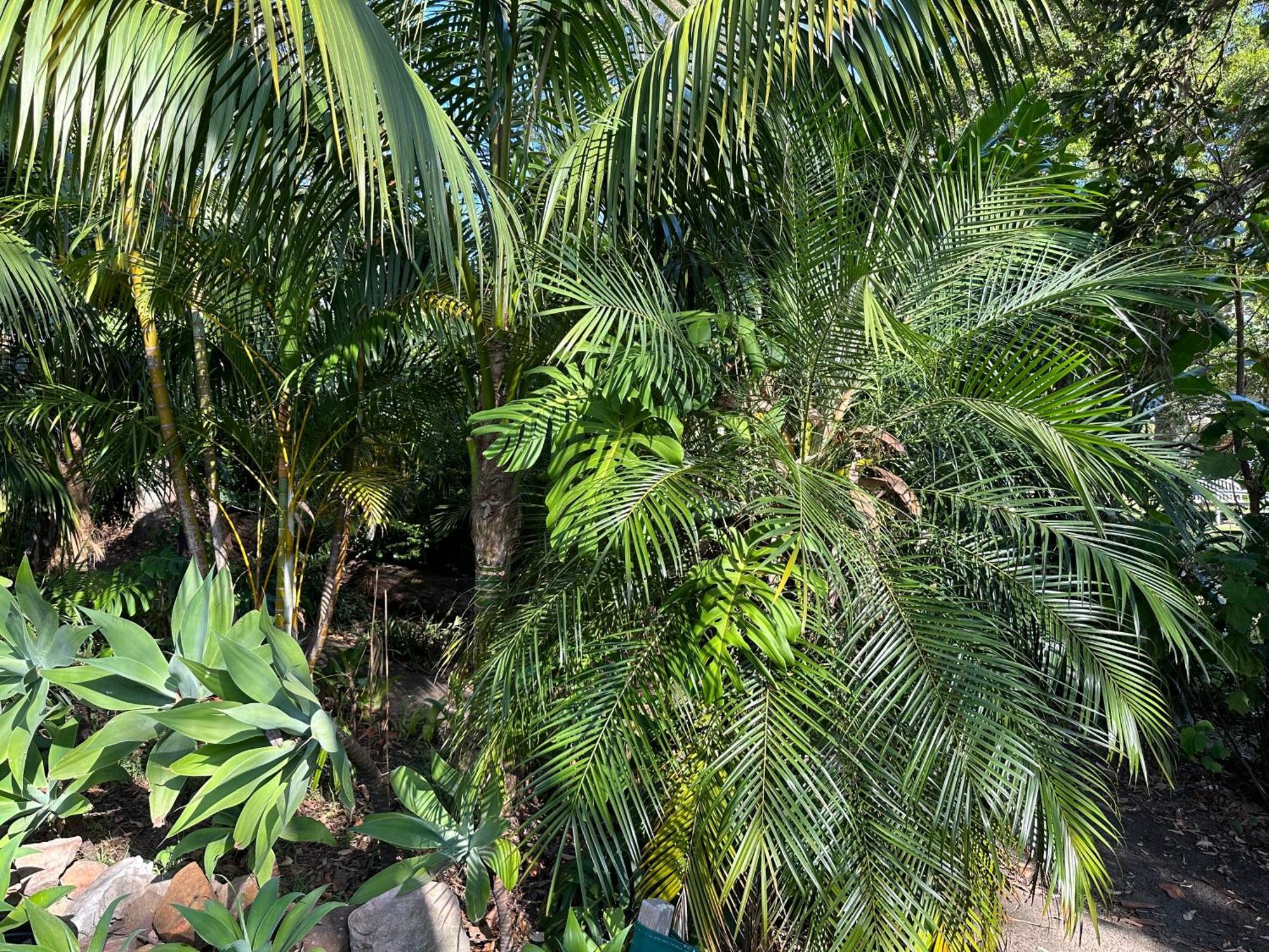 Palm Beach Bed & Breakfast Ngoại thất bức ảnh