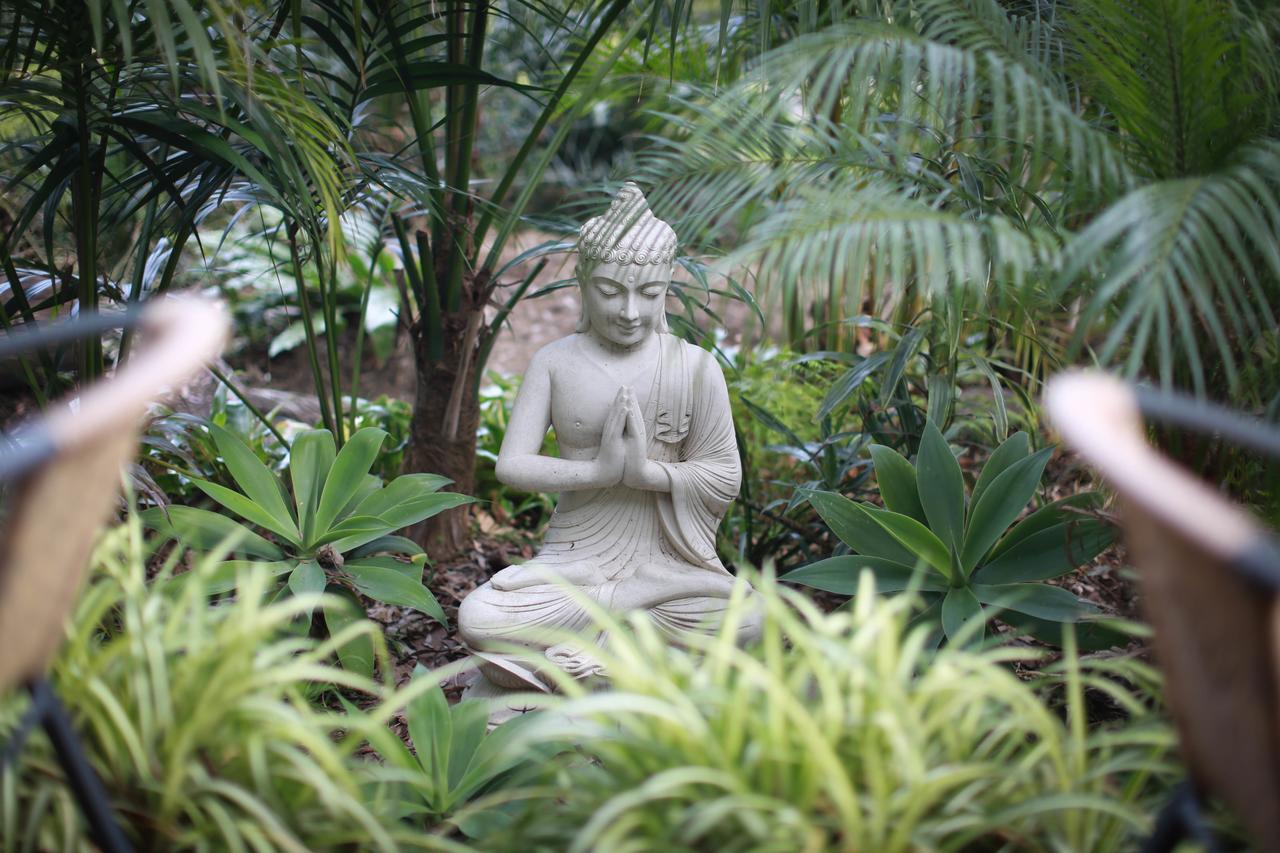 Palm Beach Bed & Breakfast Ngoại thất bức ảnh